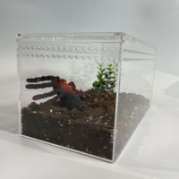 Enclos pour reptiles et tarantules en acrylique transparent personnalisé en forme de cube panoramique, avec couvercle coulissant magnétique, couleur et taille personnalisées