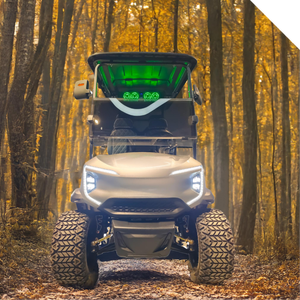 Mini voiturette de golf électrique au lithium 4 places 3500W à prix compétitifs - Product Image 1