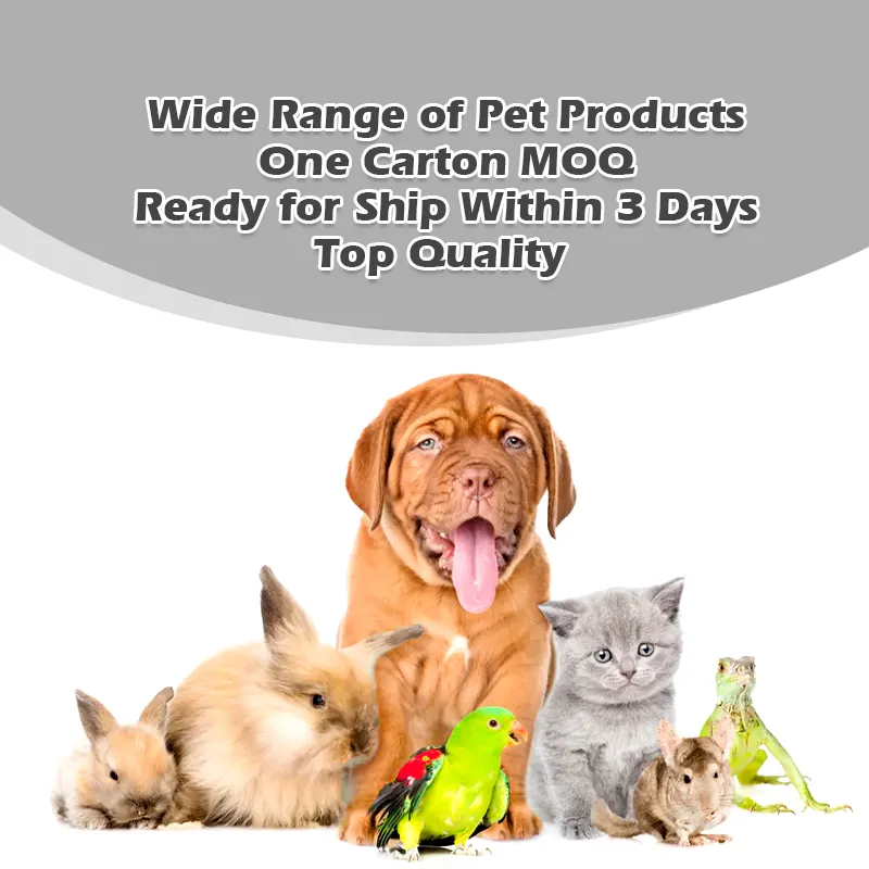 All for Paws Wooden Cat Toy - Brand Overview Buyer's Guide