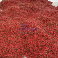 Te Koop China Groothandel Commerciële Fruitgroente Droogapparatuur Droger Oven Prijs
