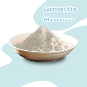 Lactobacillus <span class=keywords><strong>Rhamnosus</strong></span> de calidad alimentaria, polvo de probióticos en polvo liofilizado para la salud intestinal, suplemento nutritivo - Product Image 1