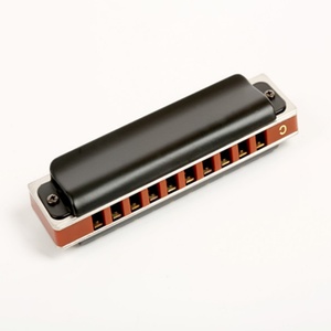 Vendita calda Blues strumento musicale a 10 fori armonica per principianti - Product Image 1