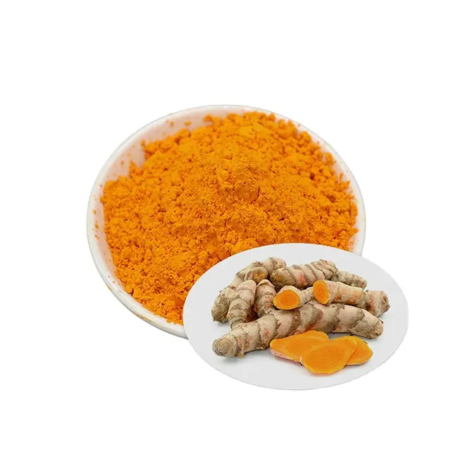 Top Quality Fine Powder Natural Turmeric Extract 95% Curcumin Powder For Export