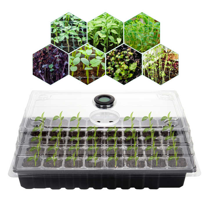 40 Cells Sapling Germination Kit for Seeds' Starting Tray With ...