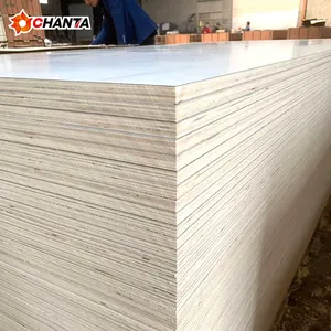 2021 new design home furniture cabinets colored 16mm18mm melamine plywood vietnam