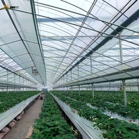 Film de serre à 7 couches résistant aux UV pour la culture des fraises, des bleuets et des fruits, couverture en plastique agricole