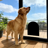 Porte en verre pour chien, cadre en acier durable, double couche isolante, verre trempé, indeformable, facile à nettoyer, résistant au vent