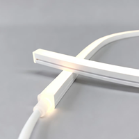 IP67 réglable blanc flexion latérale LED Neon Flex 24V 10*10mm CCT réglable blanc 2700K-6500K Neon Light pour intérieur et extérieur Luz