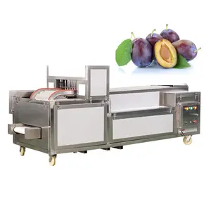 Machine électrique automatique pour dénoyauter les graines de raisin, coupe-Olive, lime à cerise