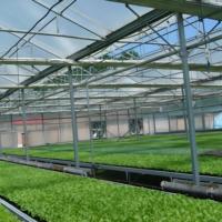 Système hydroponique de serre le plus vendu en usine, économique et adapté à l'agriculture