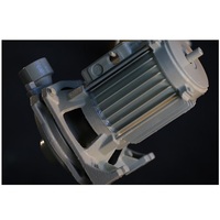 Pompe à jet 220V pompe de surpression d'eau propre à tête haute avec fonte d'aluminium 0.37kw 0.5hp