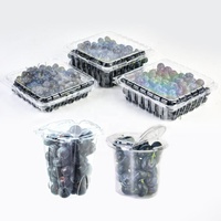 Conteneur en plastique PET en forme de rectangle pour fruits, emballage transparent pour myrtilles avec trous de ventilation, vente en gros