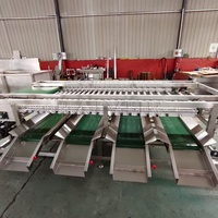Appel-, aardappel-, fruit- en groentesorteermachine