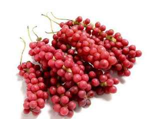 Extrait de Schisandra Chinensis/Extrait de Schisandra de <span class=keywords><strong>Rainbow</strong></span> Supply - Product Image 2