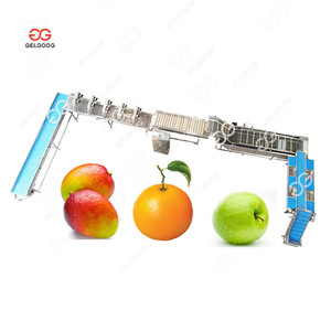 Macchina a Nastro Trasportatore per Lavaggio Frutta, Linea di Produzione e Pulizia per Fichi d'India, Macchina per Pulizia Prugne, Macchina per Kiwi - Product Image 3