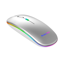 Fabrikant Draadloze Slanke Draagbare Usb Optische Muis Rgb Gaming Bt 2.4G Pc Laptop Computer Oplaadbare Draadloze Muis