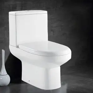 Toilette Water Closet lavatory pan lavatories western rimless ceramic low level toilet with bidet