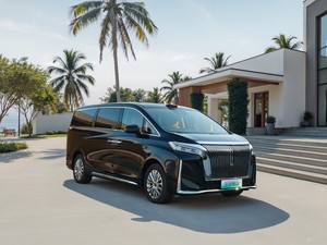 WEY Gaoshan <span class=keywords><strong>9</strong></span> AWD 6 places Premium PHEV MPV 2025 avec Hi4 LiDAR - Product Image 6