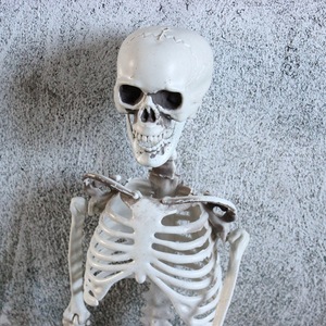Decorazione per feste <span class=keywords><strong>Horror</strong></span> <span class=keywords><strong>di</strong></span> <span class=keywords><strong>Halloween</strong></span> un completo Humon Skeleton <span class=keywords><strong>Film</strong></span> Party casa stregata paesaggio decorativo Prop - Product Image 3