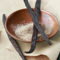 Extrait de poudre de gousse de vanille naturelle Planifolia, solvant éthanol, ingrédient à base de plantes, base aromatique, qualité alimentaire 98%