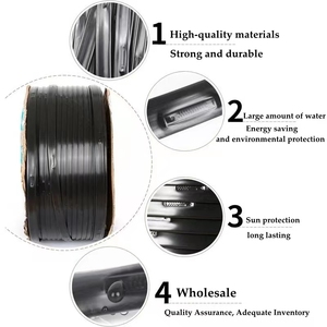 Sistema <span class=keywords><strong>de</strong></span> <span class=keywords><strong>Riego</strong></span> por Goteo para Agricultura <span class=keywords><strong>de</strong></span> 1 Hectárea, Manguera <span class=keywords><strong>de</strong></span> <span class=keywords><strong>Riego</strong></span> por Goteo <span class=keywords><strong>de</strong></span> Plástico para Granjas, Rollo <span class=keywords><strong>de</strong></span> Cinta <span class=keywords><strong>de</strong></span> <span class=keywords><strong>Riego</strong></span> al Mejor Precio, Fabricante Chino - Product Image 6