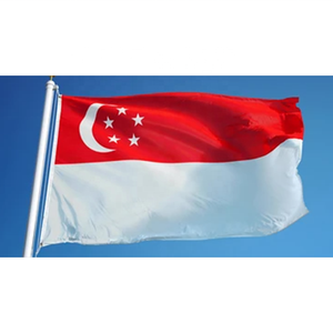 ธงประเทศ<span class=keywords><strong>ส</strong></span>่งเสริมการขายธงโพลีเอสเตอร์3X5ฟุตฟิลิปปินส์เวียดนามมาเลเซียมาเลเซียธงชาติสิงคโปร์ - Product Image 5