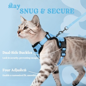 Harnais de type gilet pour animaux de compagnie en maille respirante pour chiens et chats, laisse de traction pour animaux, collier pour chat, harnais de poitrine et de dos pour animaux - Product Image 2