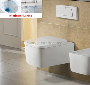 โถสุขภัณฑ์แบบแขวนผนังระบบ Washdown - Product Image 1