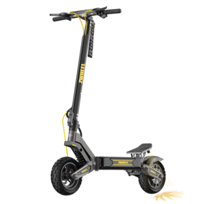 Trottinette électrique pliable haut de gamme D1, moteur 800W, roues de 10 pouces, étanche, vitesse 40-45 km/h pour les déplacements rapides et les trajets quotidiens - Product Image 1