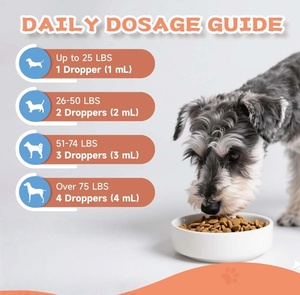 Gouttes de collagène pour chiens avec biotine, MSM, gingembre, vitamines C et E – Absorption rapide, sans céréales, pour la beauté, la santé de la peau, du pelage, des articulations et la digestion - Product Image 4