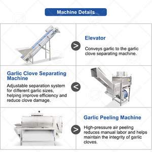 Machine à éplucher <span class=keywords><strong>l</strong></span>'<span class=keywords><strong>ail</strong></span> automatique industrielle OCEAN, type chaîne, <span class=keywords><strong>prix</strong></span> <span class=keywords><strong>de</strong></span> la machine à éplucher <span class=keywords><strong>l</strong></span>'<span class=keywords><strong>ail</strong></span> - Product Image 3