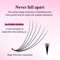 Extensions de cils pré-faits en grandes paquets, volume wispy, tige étroite et longue, faits à la main, en soie, vison et faux vison