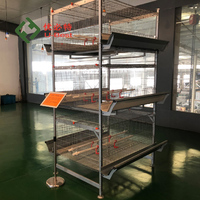 Cages à poulets de type H entièrement automatiques, galvanisées à chaud, à haute capacité de charge, faciles à installer, avec mangeoire et abreuvoir