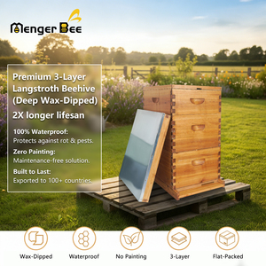 Nouvelle ruche complète MengerBee à 3 niveaux, type Langstroth, 10 cadres, en bois de sapin de Chine, revêtue de cire d'abeille, kit de démarrage pour apiculteur avec cadres en plastique 1 - Product Image 6
