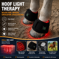 Lampe de luminothérapie équine à succès : Machine de rééducation articulaire et de sabotage pour chevaux, rapport de longueurs d'onde 1:2, soulagement de la douleur pour le saut d'obstacles