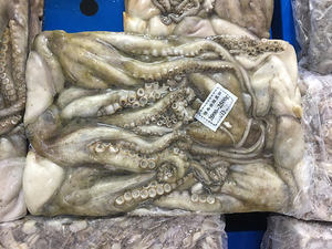 <span class=keywords><strong>Pulpo</strong></span> Congelado a <span class=keywords><strong>Precio</strong></span> Competitivo, Marisco Fresco Directo de Tailandia - Product Image 3