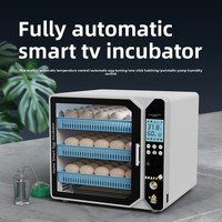 Petit incubateur de poulets domestique entièrement automatique intelligent avec lit d'eau, modèle FHQ1007, design rectangulaire pour poussins