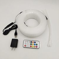 Kits de lumières LED en fibre optique IP65 en plastique pour plafond, mur, fête, décoration d'Halloween - Réseaux lumineux pour arbres de Noël