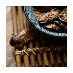 Lot de 25 insectes comestibles, vente en gros, faux ver alimentaires, écologiques frais, dubien cafard - Product Image 3