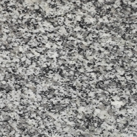 Dalles de granit G688 polies modernes UNION de qualité supérieure, écologiques, durables et légères, découpées sur mesure pour cuisine, extérieur et escalier