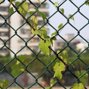 Wholesale High Quality Chain Link Fence Mesh in 4ft 5ft 6ft 8ft 10ft Sizes Galvanized Chain Link Fence in Variety Heights - Product Image 3