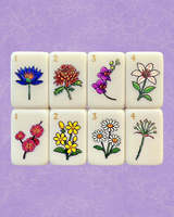 En stock : Mahjong américain de luxe moderne pliable et portable, jeu de Mahjong américain avec tuiles en acrylique pour les jeux de casino