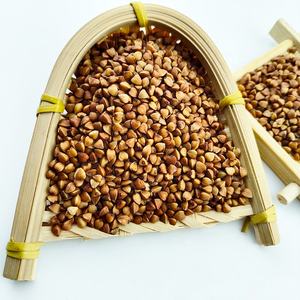 <span class=keywords><strong>Graines</strong></span> de <span class=keywords><strong>sarrasin</strong></span> grillées de qualité supérieure, non décortiquées, bio, vente en gros - Product Image 6