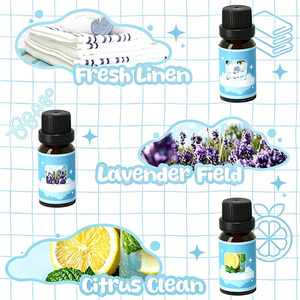 Lot de 6 parfums concentrés pour le <span class=keywords><strong>linge</strong></span>, rehausseur de parfum longue durée pour machine à laver, sachets de <span class=keywords><strong>linge</strong></span>, diffuseur et bougies DIY - Product Image 3