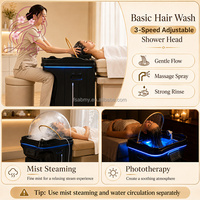 Bac à shampoing portable noir pour spa capillaire, réservoir d'eaux usées 60L, circulation d'eau avec chauffage, sans plomberie, lavabo de salon sans tuyauterie