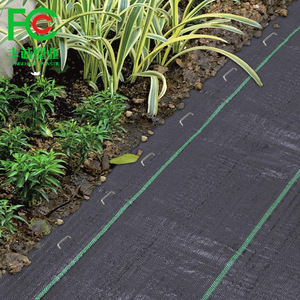 Tiges de sol en acier inoxydable, piquet de sécurité <span class=keywords><strong>pour</strong></span> le jardin - Product Image 5