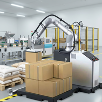 Paletizador JINWEI DS-CR25-G/S de 25 kg y 1798 mm, de Alta Resistencia, 13 Piezas/min, CE ISO 10218, Sin Programación, para la Industria de Apilado de Cajas Pesadas
