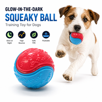 Balle pour chien personnalisée en TPR, résistante aux morsures, en caoutchouc, jouet à mâcher robuste, balle interactive amusante pour chien, pour l'entraînement en intérieur
