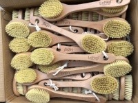 2024 Logo personnalisé disponible en bois de hêtre naturel Sisal poils de cactus brosse en bois de hêtre brosse de bain en sisal
