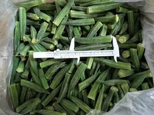 Frozen Products Iqf Vegetable Good Price And High Quality Hot Sale Frozen Okra